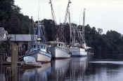 St Mary's Ga Shrimp Boats